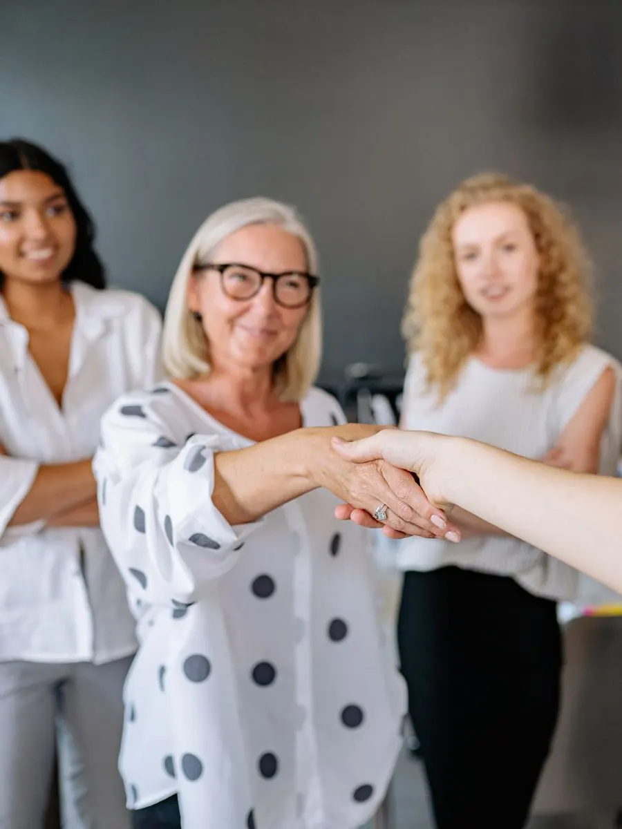 Meeting or partner visit